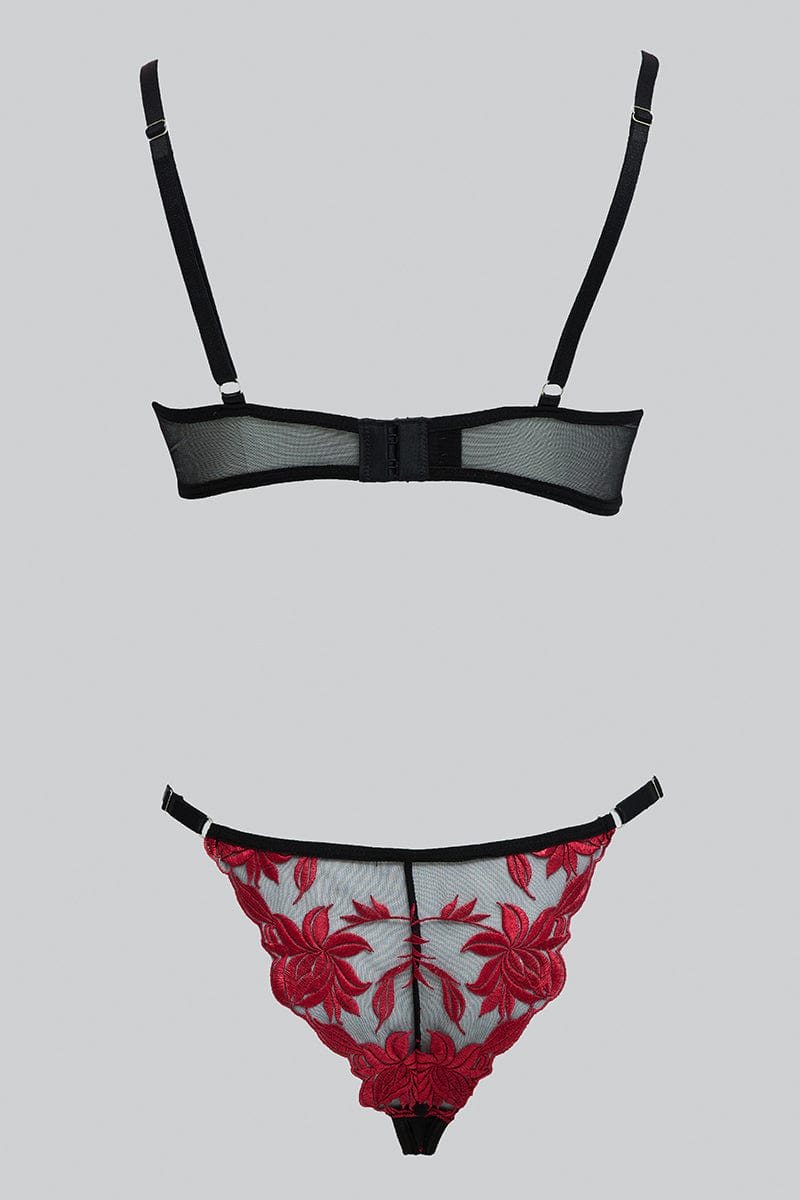 Red Embroidered Lingerie Set - Image 2